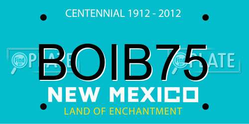 BOIB75 New Mexico License Plate