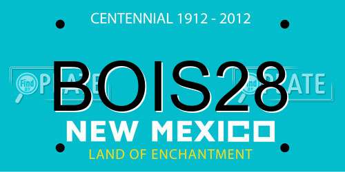 BOIS28 New Mexico License Plate