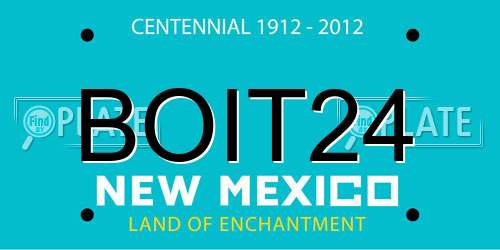 BOIT24 New Mexico License Plate
