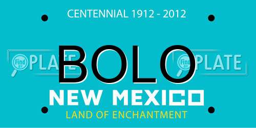 BOLO New Mexico License Plate