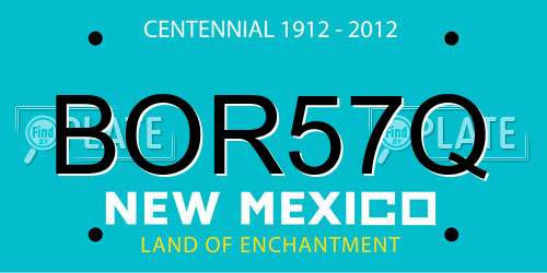BOR57Q New Mexico License Plate