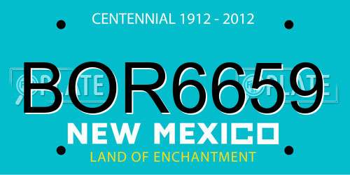 BOR6659 New Mexico License Plate
