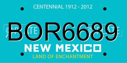 BOR6689 New Mexico License Plate