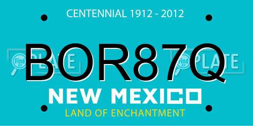 BOR87Q New Mexico License Plate