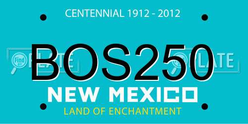 BOS250 New Mexico License Plate