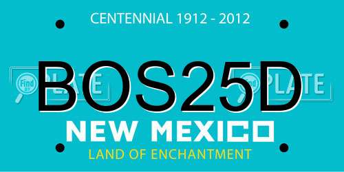 BOS25D New Mexico License Plate
