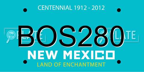 BOS280 New Mexico License Plate