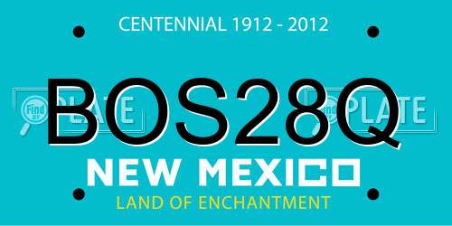 BOS28Q New Mexico License Plate