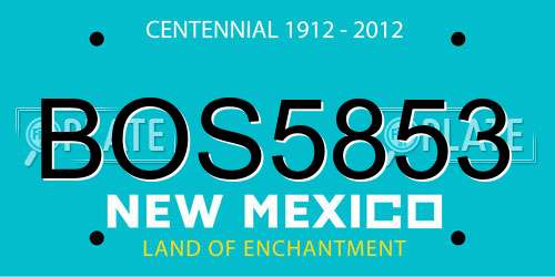BOS5853 New Mexico License Plate