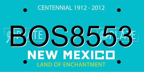 BOS8553 New Mexico License Plate