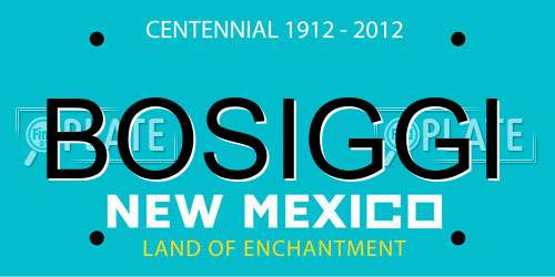BOSIGGI New Mexico License Plate