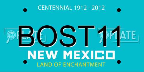 BOST11 New Mexico License Plate