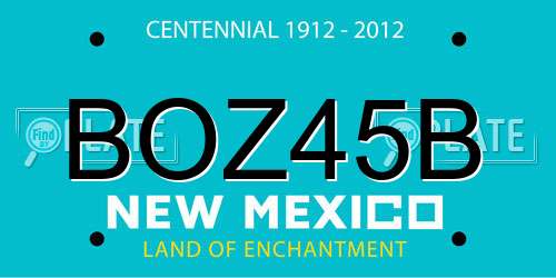 BOZ45B New Mexico License Plate