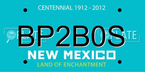 BP2B0S New Mexico License Plate