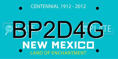 BP2D4G New Mexico License Plate