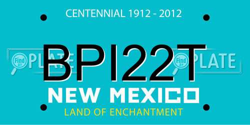 BPI22T New Mexico License Plate