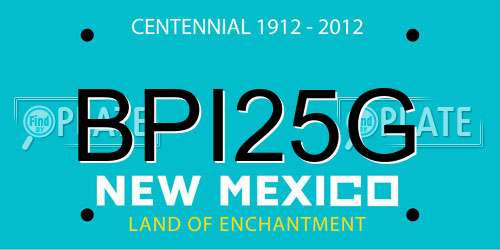 BPI25G New Mexico License Plate