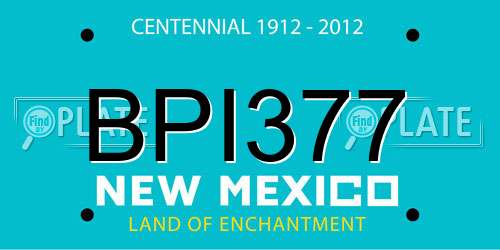 BPI377 New Mexico License Plate