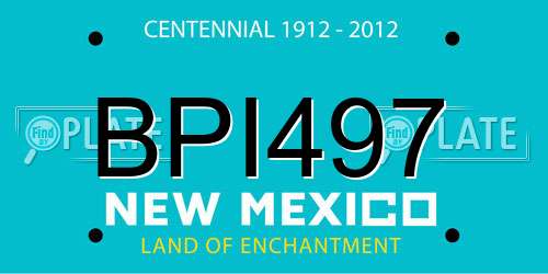 BPI497 New Mexico License Plate