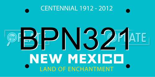 BPN321 New Mexico License Plate