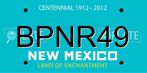 BPNR49 New Mexico License Plate