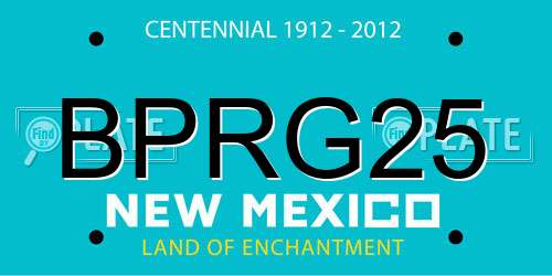 BPRG25 New Mexico License Plate