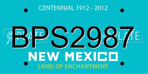 BPS2987 New Mexico License Plate
