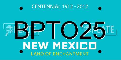 BPTO25 New Mexico License Plate