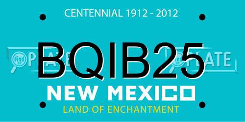 BQIB25 New Mexico License Plate