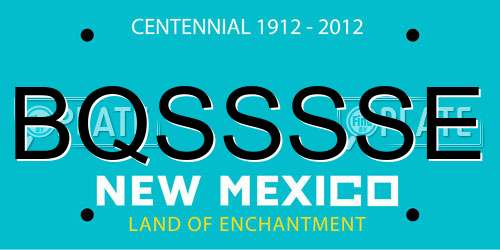 BQSSSSE New Mexico License Plate