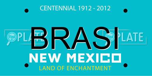 BRASI New Mexico License Plate