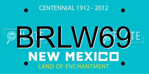 BRLW69 New Mexico License Plate
