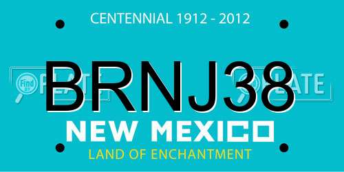 BRNJ38 New Mexico License Plate