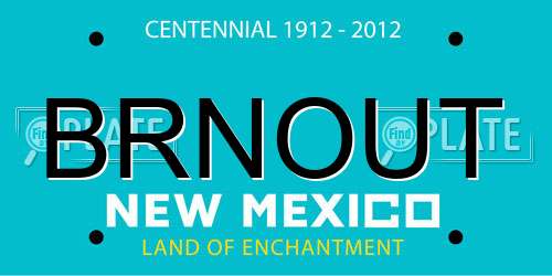 BRNOUT New Mexico License Plate