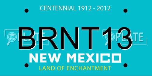 BRNT13 New Mexico License Plate