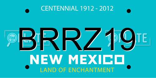 BRRZ19 New Mexico License Plate