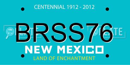 BRSS76 New Mexico License Plate