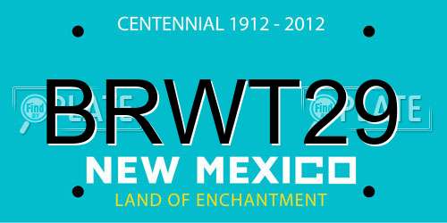 BRWT29 New Mexico License Plate