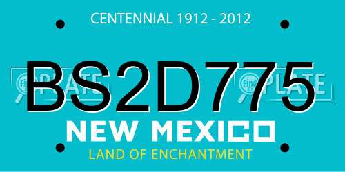 BS2D775 New Mexico License Plate