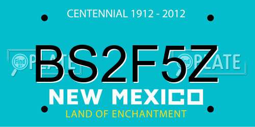 BS2F5Z New Mexico License Plate