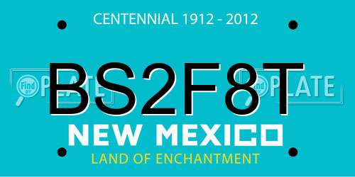BS2F8T New Mexico License Plate