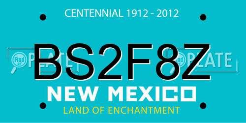 BS2F8Z New Mexico License Plate