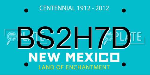 BS2H7D New Mexico License Plate