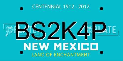 BS2K4P New Mexico License Plate