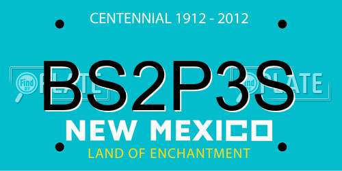 BS2P3S New Mexico License Plate