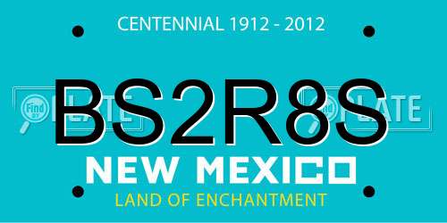 BS2R8S New Mexico License Plate