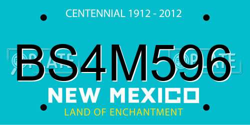 BS4M596 New Mexico License Plate