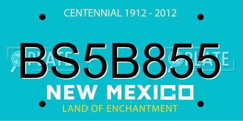 BS5B855 New Mexico License Plate