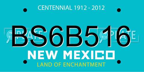 BS6B516 New Mexico License Plate