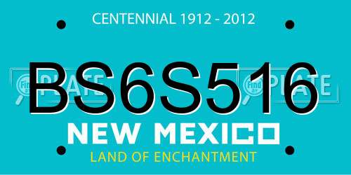BS6S516 New Mexico License Plate